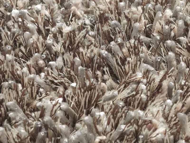 Brinker Carpets Saturn karpet Brinker Carpets Saturn karpet